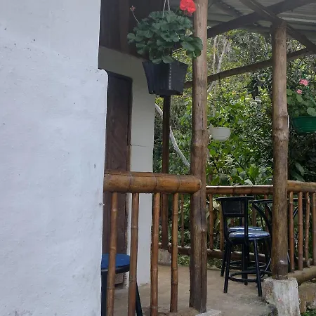 Sapiens House 